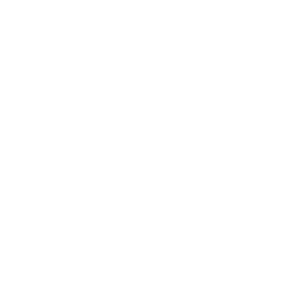 Casa 100